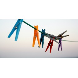 Prendedor de roupas pvc CAMPESTRE (12 pç.)