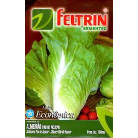 Semente FELTRIN "almeirão pão de açucar"