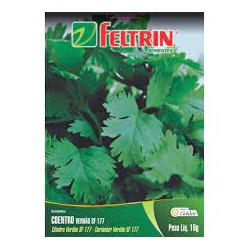Semente FELTRIN "coentro verdão"