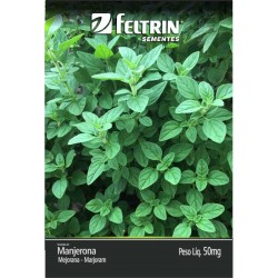 Semente FELTRIN "manjerona"