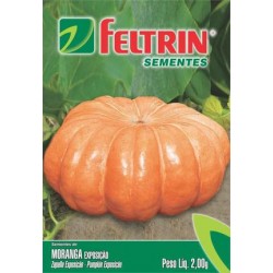 Semente FELTRIN "moranga exposição"