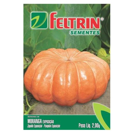 Semente FELTRIN "moranga exposição"