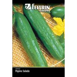 Semente FELTRIN "pepino aodai"